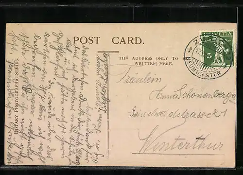 AK Zwei Jagdhunde kämpfen um einen Knochen