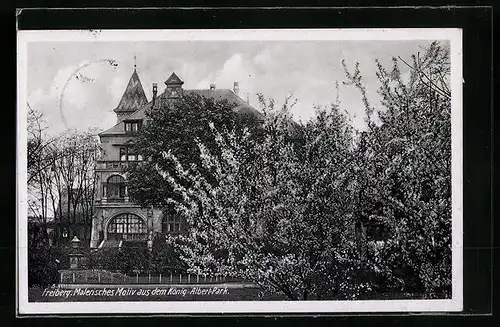 AK Freiberg, Partie im König-Albert-Park