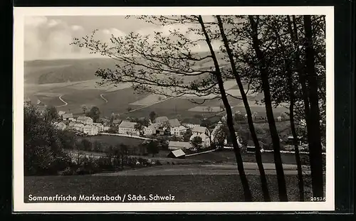 AK Markersbach /Sächs. Schweiz, Teilansicht mit Bäumen