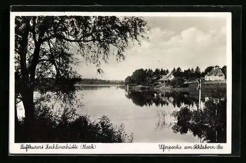 AK Zechlinerhütte bei Rheinsberg /Mark, Uferpartie am Schlaborn-See mit Bäumen