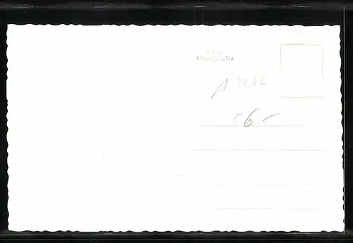 AK Wienerbruck, Ortsansicht mit Bergpanorama