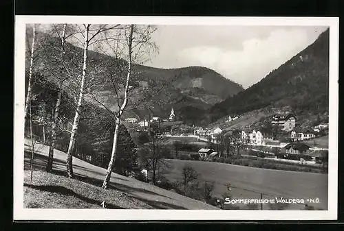 AK Waldegg, Ortsansicht aus der Vogelschau