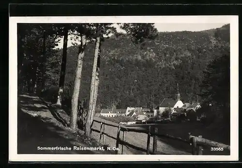 AK Raisenmarkt, Ortsansicht mit Kirche