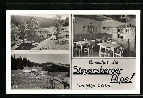 AK Kirchberg am Wechsel, Berghütte Steyersberger Alpe