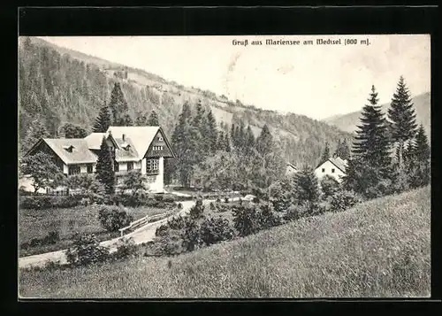 AK Mariensee am Wechsel, Blick auf die Häuser und Landschaft