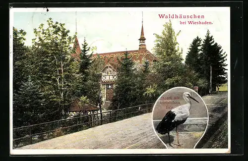 AK Wiesbaden, Restaurant Wildhäuschen von der Strasse gesehen, Storch mit künstlichem Bein