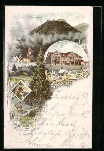 Lithographie Inselsberg, Gothaisches Hotel, Ortsansicht des Inselsberg