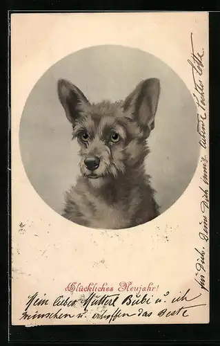 Künstler-AK M. Munk Nr. 192: Kleiner süsser Hund mit treuherzigen Blick