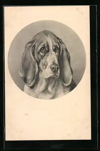 Künstler-AK M. Munk Nr. 192: Hund mit Schlappohren und traurigem Blick