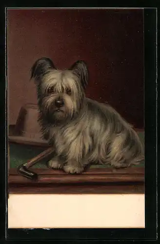 Künstler-AK M. Munk Nr. 176: Kleiner Hund mit Hut und Spazierstock