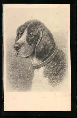 Künstler-AK M. Munk Nr. 631: Hund mit Schlappohren und traurigem Blick