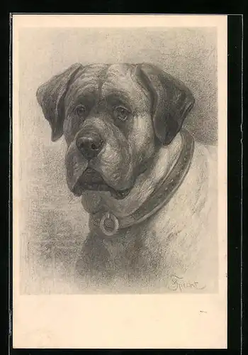 Künstler-AK M. Munk Nr. 630: Hund mit flehendem Blick