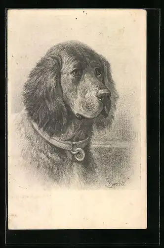 Künstler-AK M. Munk Nr. 631: Süsses Fellbündel mit treuem Blick