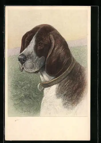 Künstler-AK M. Munk Nr. 631: Braun-weisser Hund mit goldenem Halsband