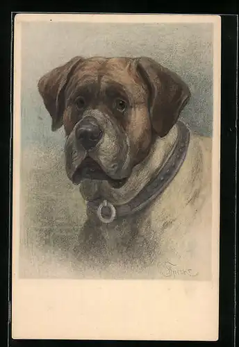 Künstler-AK M. Munk Nr. 631: Hund mit flehendem Blick