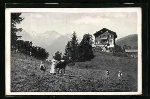 AK Krimml, Gasthof Falkenstein