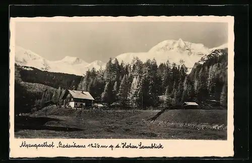 AK Rauris, Alpengasthof Badenhaus gegen den Hohen Sonnblick