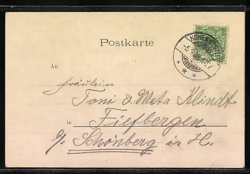 AK Hohenweststedt, Nerven-Heilanstalt, Kaiserl. Postamt, Gasthof Stadt Hamburg, Vorderstrasse