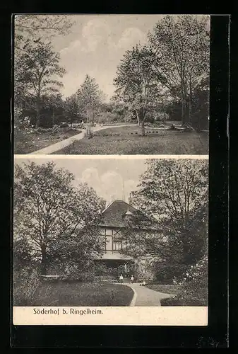 AK Ringelheim, Söderhof mit Garten