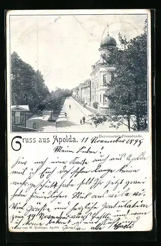 AK Apolda, Blick in die Heressener Promenade