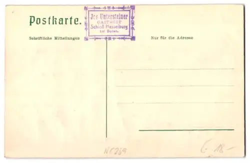 Relief-AK Haselburg, Ruine Kuebach