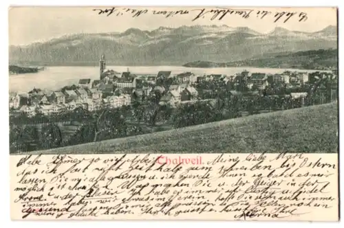 Relief-AK Thalweil, Ortsansicht mit See und Gebirge