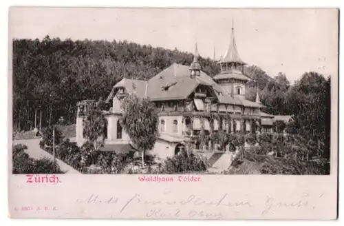Relief-AK Zürich, Waldhaus Dolder