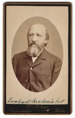 Fotografie H. Ludwig, Crimmitschau, Obere Vorstadt 86, Älterer Herr mit Vollbart