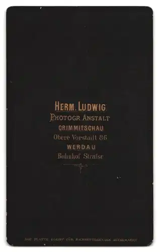 Fotografie H. Ludwig, Crimmitschau, Obere Vorstadt 86, Älterer Herr mit Vollbart