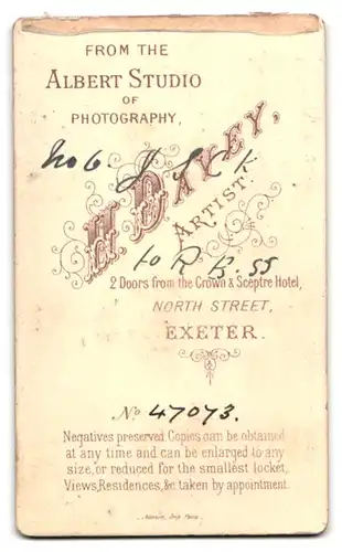 Fotografie H. Davey, Exeter, North Street, Bürgerliches Ehepaar mit Hut und Stock