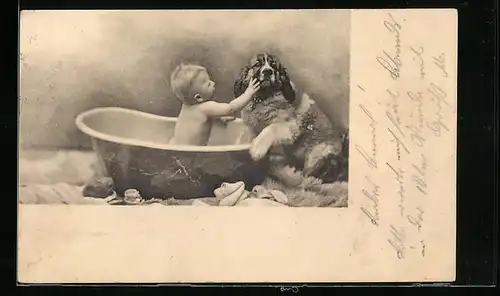 AK Baby in Badewanne mit Bernhardiner
