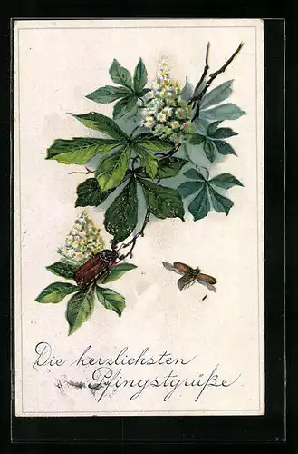 Künstler-AK Zwei Maikäfer und blühender Kastanienzweig, Pfingstgruss