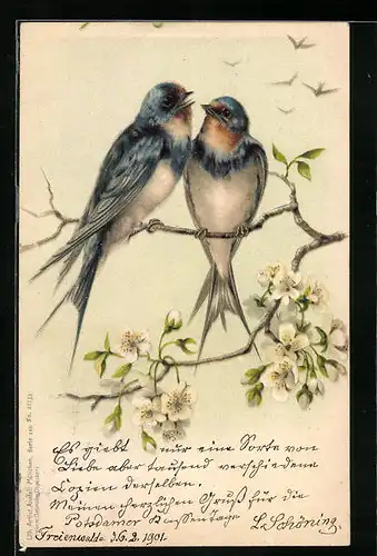 Lithographie Zwei Schwalben auf einem blühenden Obstbaumzweig