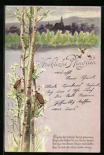 Lithographie Maikäfer auf dem Stamm einer Birke und fliegende Maikäfer, Pfingstgruss