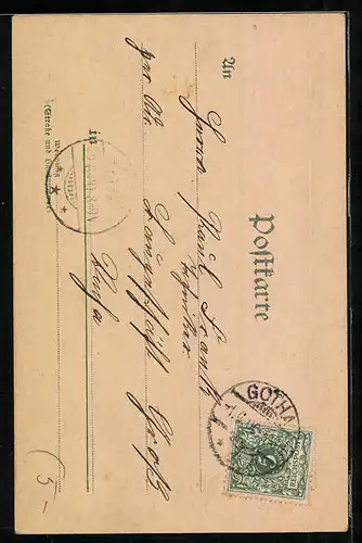 Lithographie Maikäfer auf dem Stamm einer Birke und fliegende Maikäfer, Pfingstgruss