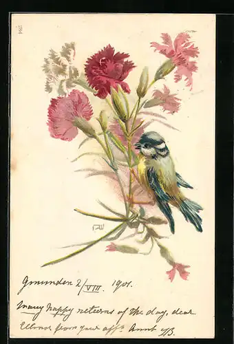 Lithographie Meise mit roten Kornblumen
