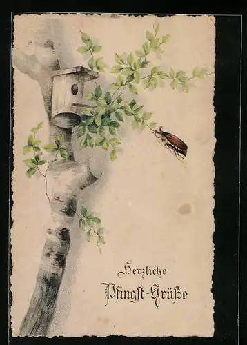 Künstler-AK Maikäfer auf Birke mit Nistkasten, Pfingstgruss