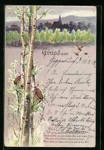Lithographie Maikäfer auf jungen Birken vor Ortspanorama