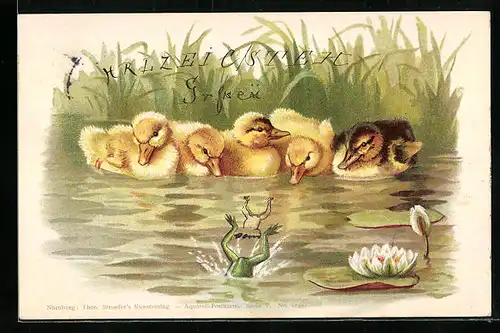 Lithographie Frösche springen in einen Teich mit Entenküken