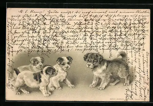 Lithographie Hund und drei Welpen mit aufmerksamem Blick