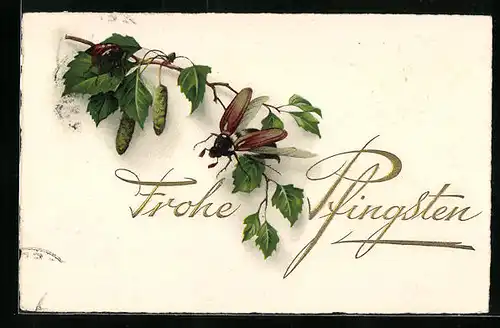 Künstler-AK Zwei Maikäfer und ein Birkenzweig, Pfingstgruss