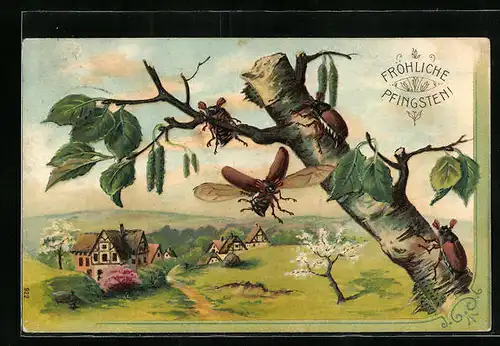 Präge-AK Maikäfer auf einem Birkenstumpf vor Frühlingsidylle, Pfingstgruss