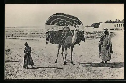 AK Beladenes Kamel mit Begleitern in der Wüste