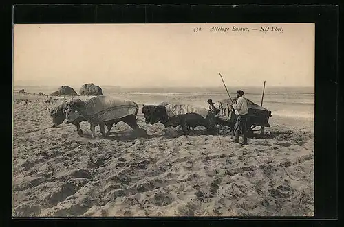 AK Baskische Bauern mit Ochsen-Gespann am Meer