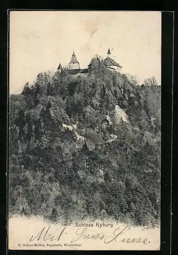 AK Kyburg, Blick zum Schloss aus der Vogelschau