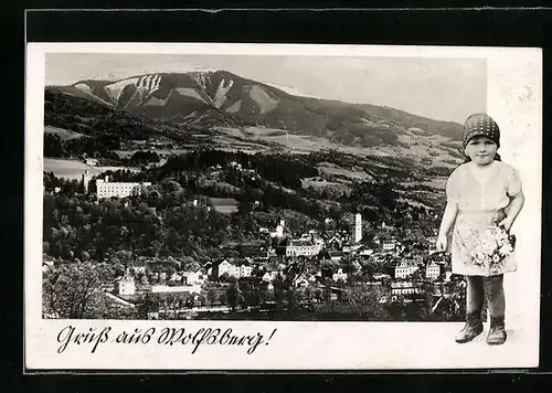 AK Wolfsberg, Panoramablick auf Ort und Berge