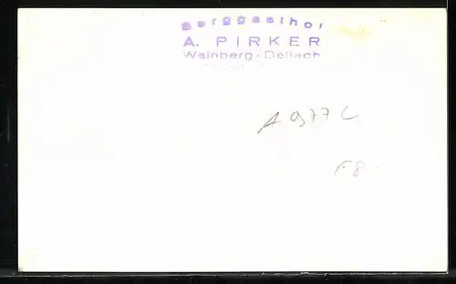 AK Dellach im Drautal, Berggasthof von A. Pirker mit Weinberg