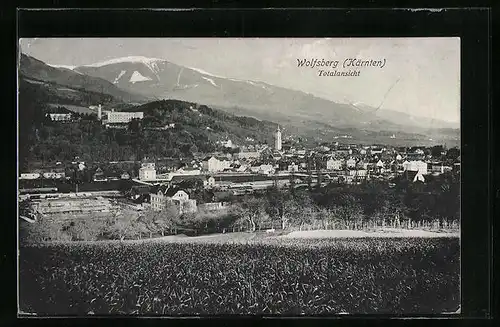 AK Wolfsberg, Totalansicht aus der Ferne