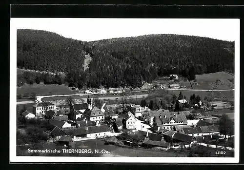 AK Thernberg, Gesamtansicht von oben mit Waldblick