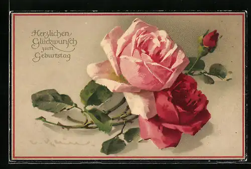 Künstler-AK Catharina Klein: rosa blühende Rosen, offen und Knospe